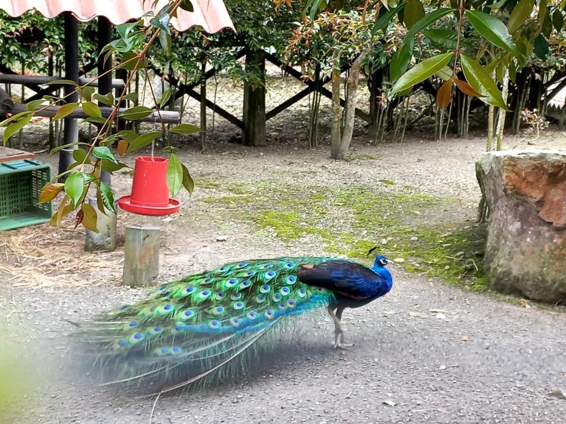 Rancho Ecoturistico El Faro Ξενοδοχείο La Mesa  Εξωτερικό φωτογραφία
