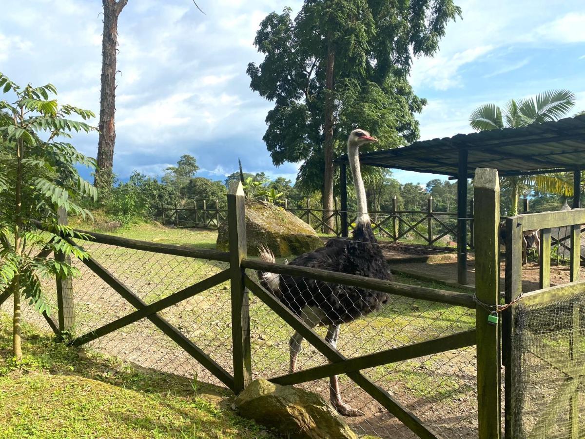 Rancho Ecoturistico El Faro Ξενοδοχείο La Mesa  Εξωτερικό φωτογραφία