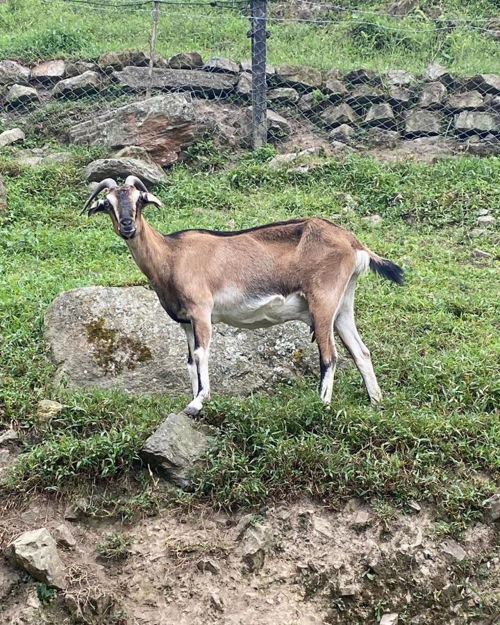 Rancho Ecoturistico El Faro Ξενοδοχείο La Mesa  Εξωτερικό φωτογραφία