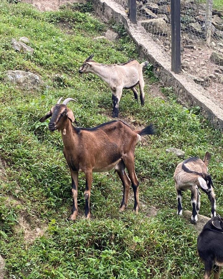 Rancho Ecoturistico El Faro Ξενοδοχείο La Mesa  Εξωτερικό φωτογραφία